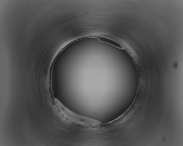 X0000096650948200802121129