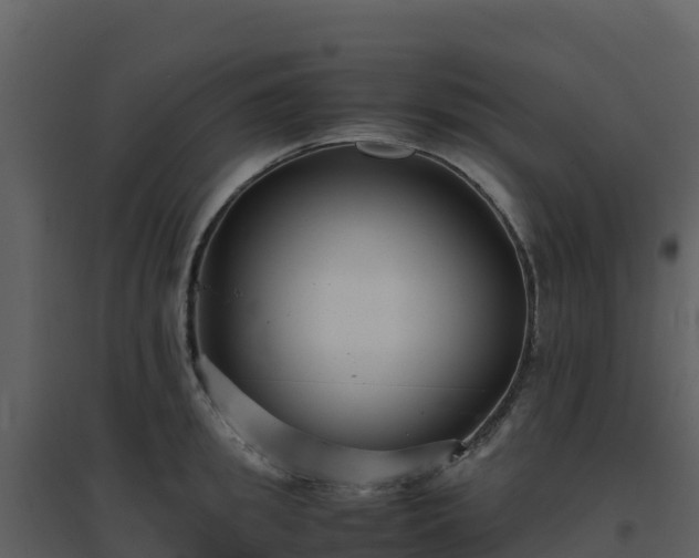 X0000096650949200802121129