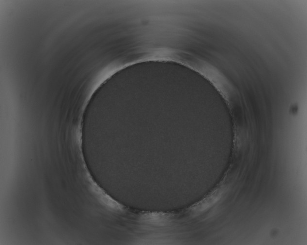X0000096650950200802121129