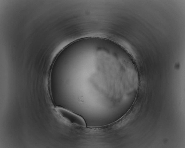 X0000096650952200802121129