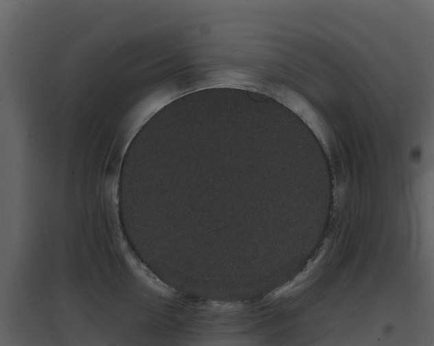 X0000096650954200802121129