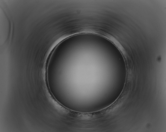 X0000096650955200802121129