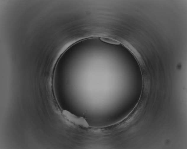 X0000096650956200802121129