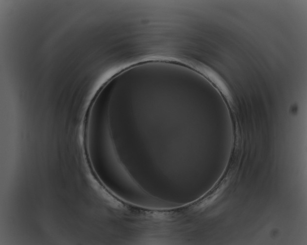 X0000096650958200802121130