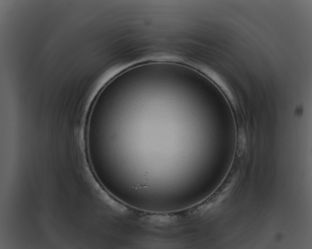 X0000096650959200802121130