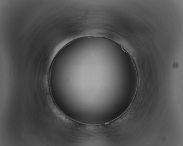 X0000096650960200802121130