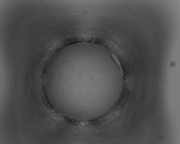 X0000096650961200802121129