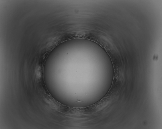 X0000096650962200802121129