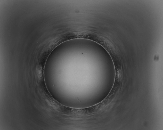 X0000096650963200802121129