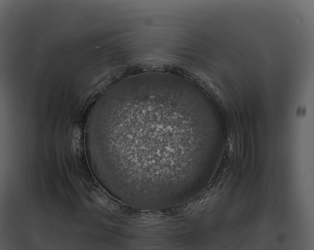 X0000096650964200802121129