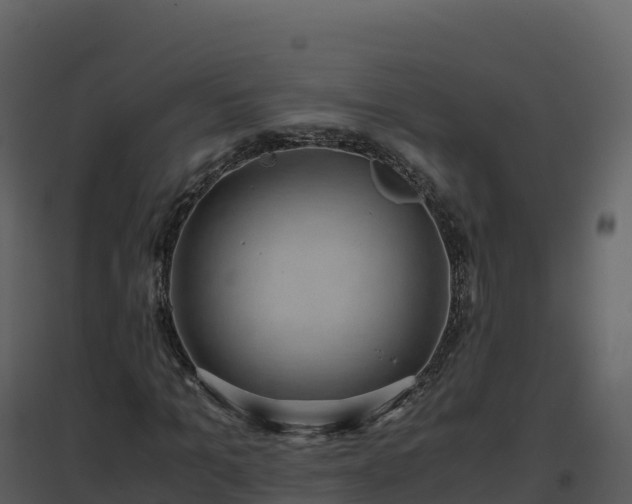 X0000096650965200802121129