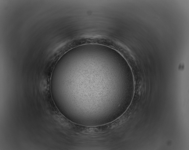 X0000096650966200802121129