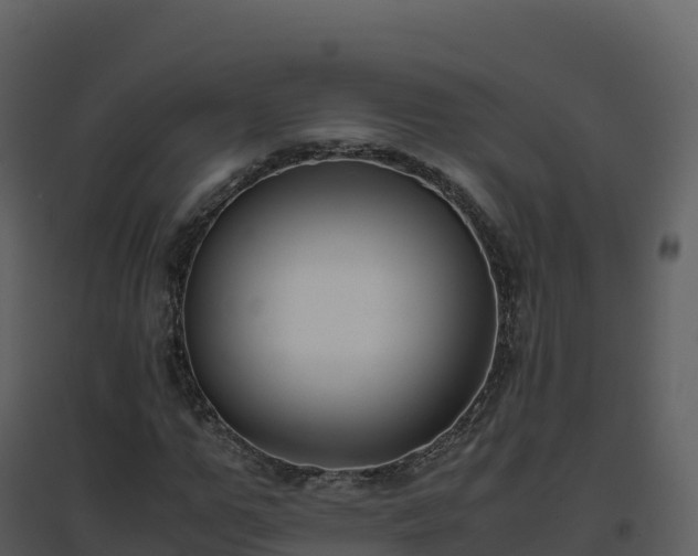 X0000096650967200802121129