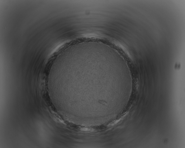 X0000096650968200802121129