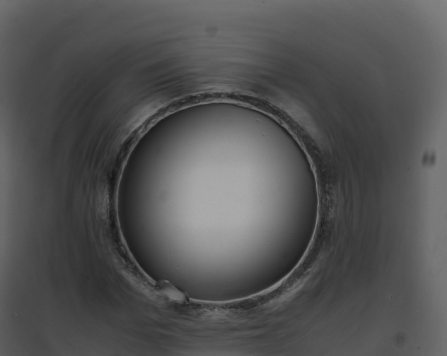 X0000096650969200802121129