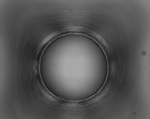 X0000096650970200802121129