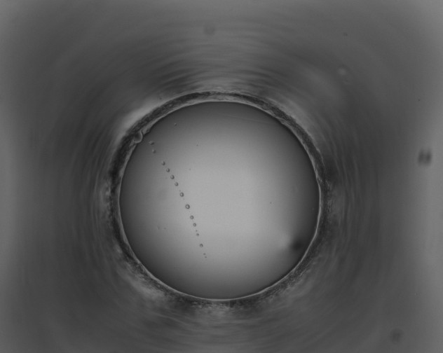 X0000096650971200802121129