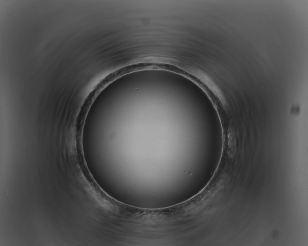 X0000096650972200802121129