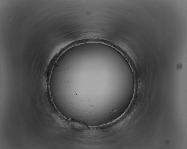 X0000096650973200802121129