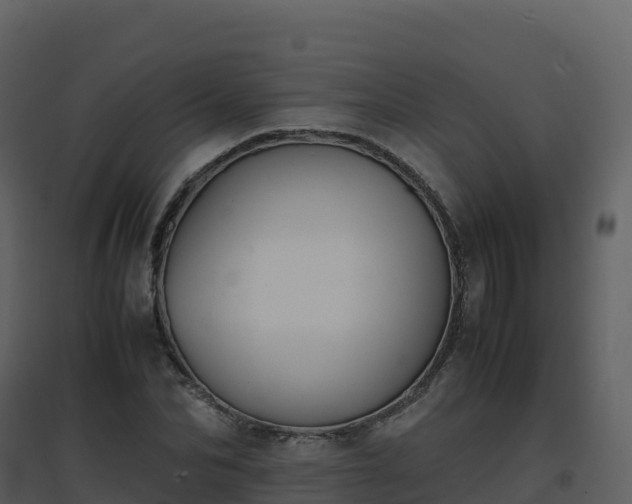 X0000096650974200802121129