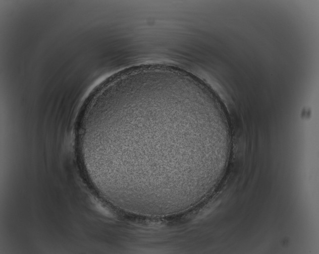 X0000096650975200802121129