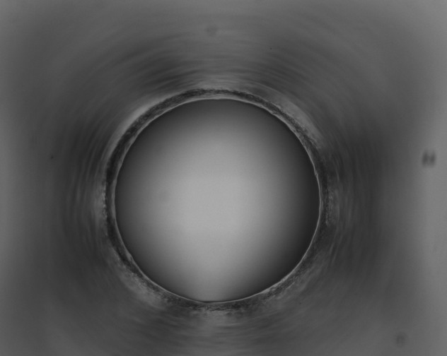 X0000096650976200802121129