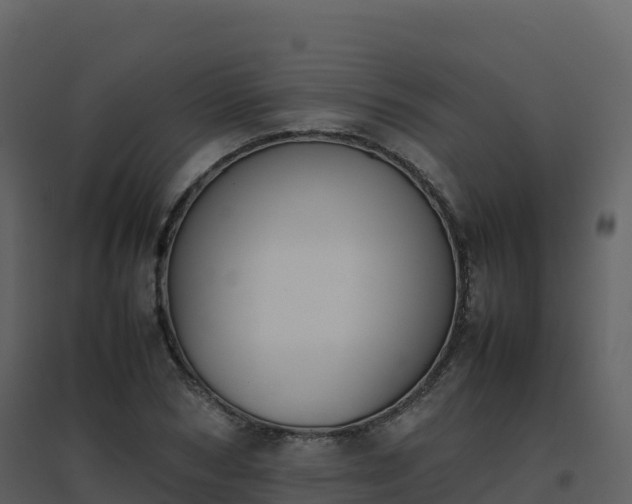 X0000096650978200802121128