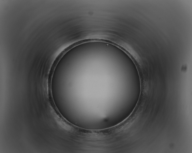 X0000096650980200802121128