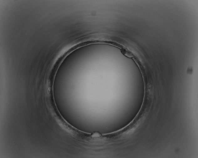 X0000096650981200802121128