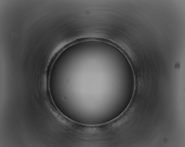 X0000096650982200802121128