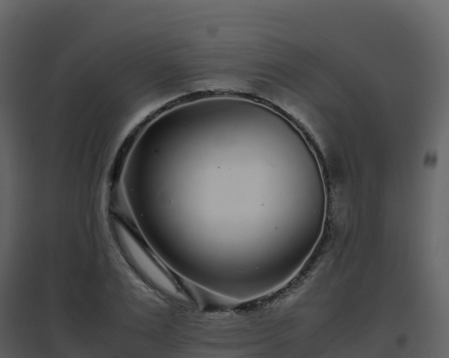 X0000096650983200802121128