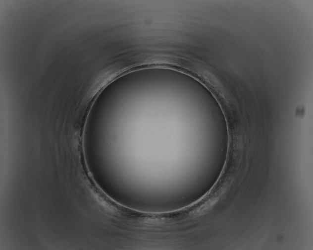 X0000096650985200802121128