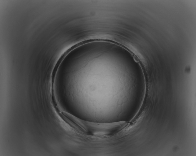 X0000096650988200802121128