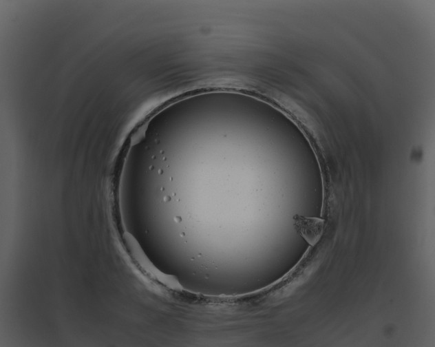 X0000096650989200802121128