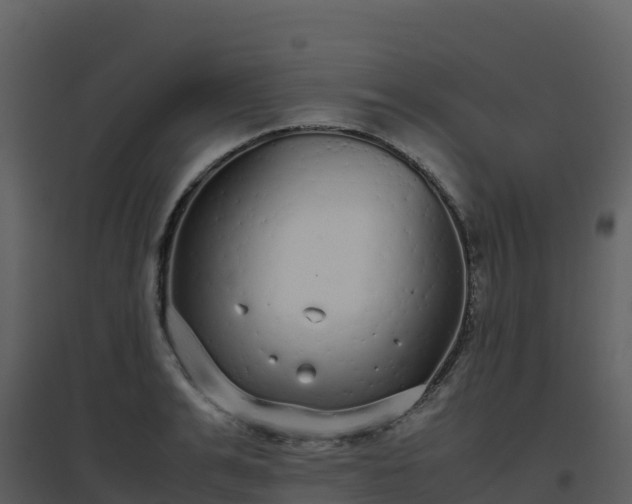 X0000096650991200802121128