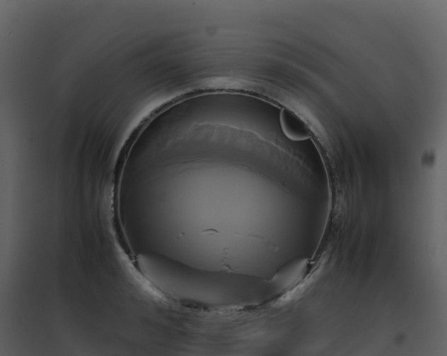 X0000096650992200802121128