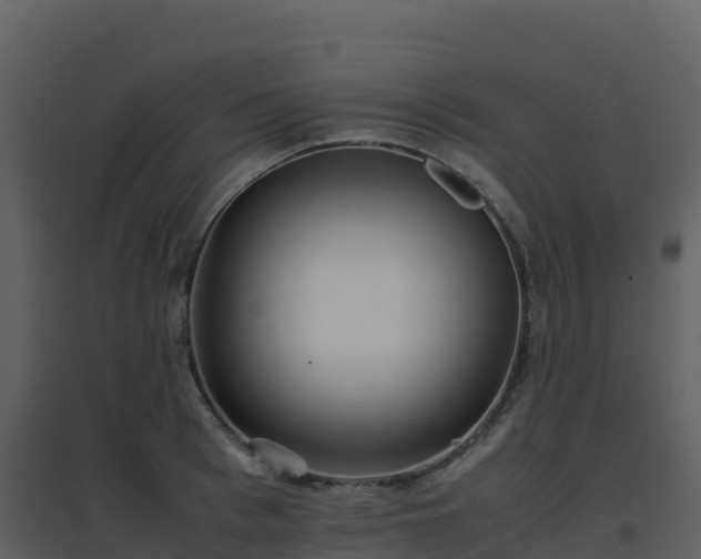 X0000096650993200802121128