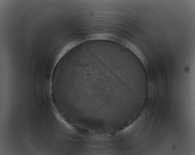 X0000096650994200802121128