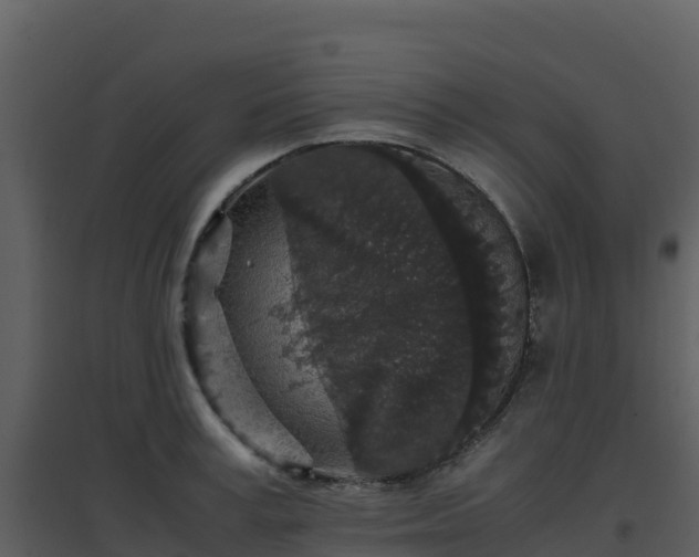 X0000096650995200802121128