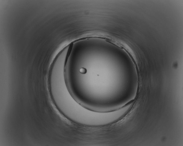 X0000096650997200802121128