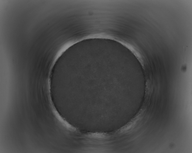 X0000096650998200802121128