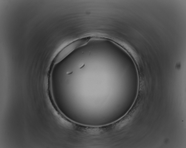 X0000096650999200802121128