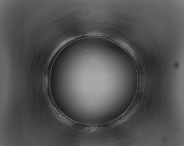 X0000096651000200802121128