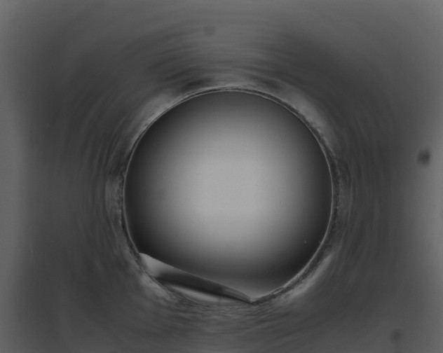 X0000096651001200802121128