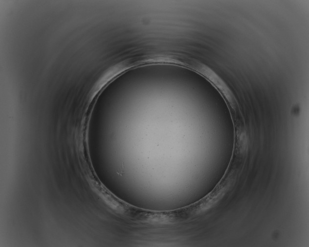 X0000096651002200802121128