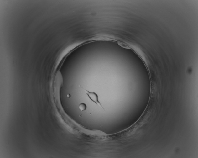 X0000096651003200802121128