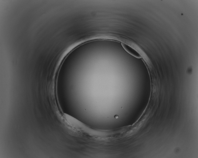 X0000096651004200802121128