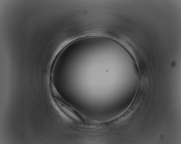 X0000096651005200802121128