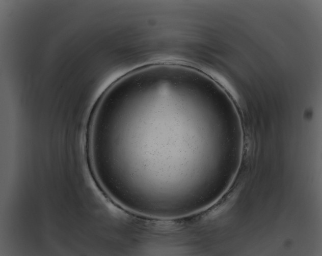 X0000096651007200802121128