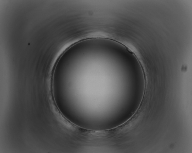 X0000096651008200802121128